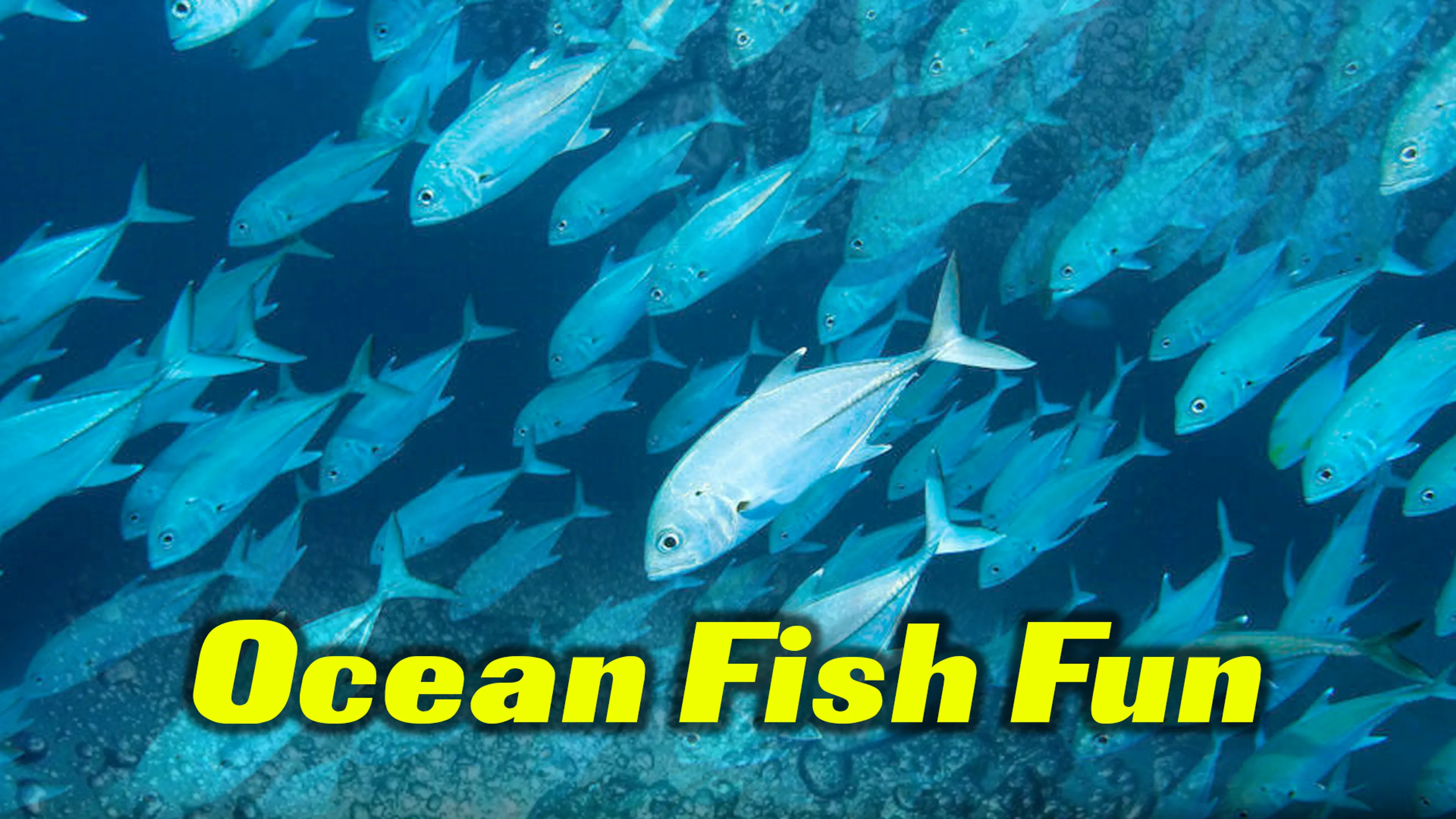Ocean Fish Fun poster